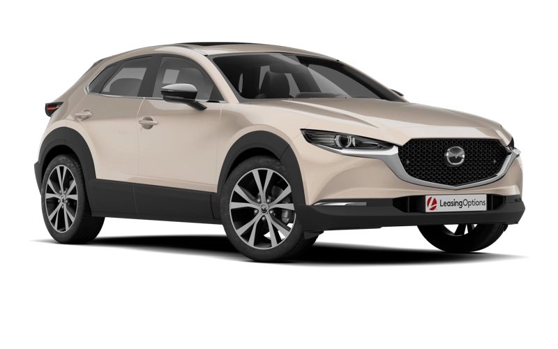 Mazda cx 30 Hatchback 2.5 e Skyactiv g Mhev 140 Exclusive Line 5dr Auto - 1